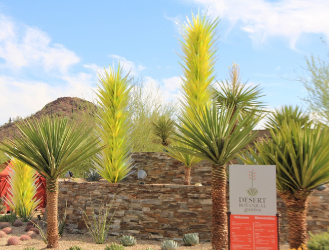 Botanical Gardens in Phoenix